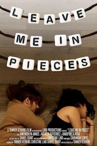 Leave Me In Pieces () poster