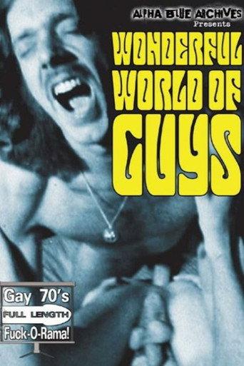 The Wonderful World of Guys (1973) poster