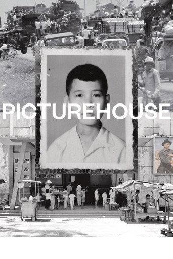 PictureHouse () poster