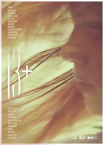 13+ (2016) poster