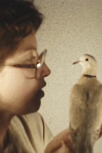 Bird (1976) poster