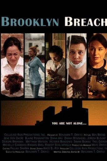 Brooklyn Breach (2012) poster