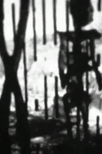 Feature Presentation (1994) poster