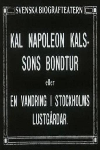 Kal Napoleon Kalsson's Stroke of Luck (1915) poster