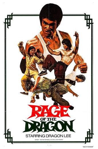 Mission for the Dragon (1980) poster