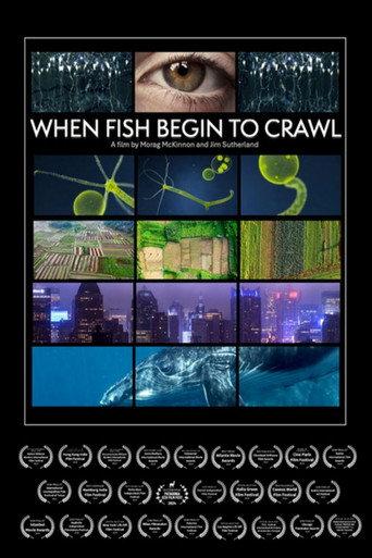 When Fish Begin to Crawl (2023) poster