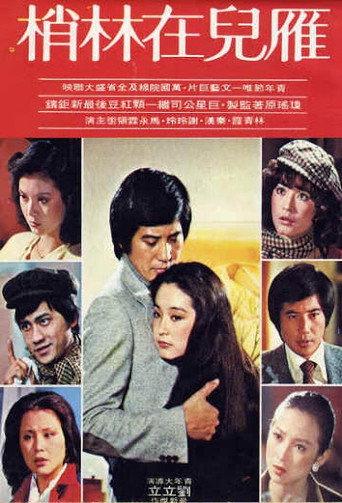 The Wild Goose on the Wing (1979) poster