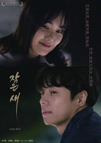 Little Bird (2021) poster