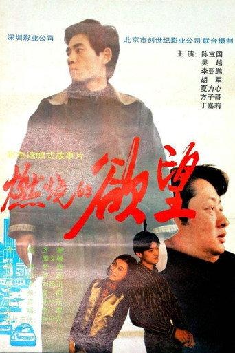 燃烧的欲望 (1996) poster