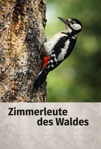 Woodpecker (1955) poster