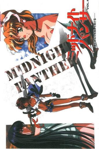 Midnight Panther (1998) poster