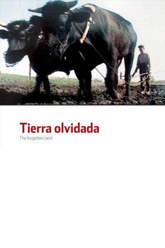 The Forgotten Land (1991) poster