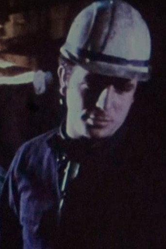 Sie dienen Allah und den Deutschen (1975) poster