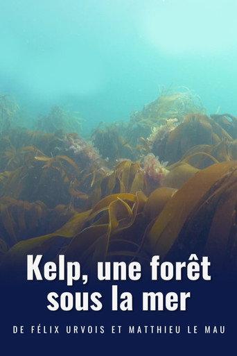 Kelp, une forêt sous la mer (2022) poster