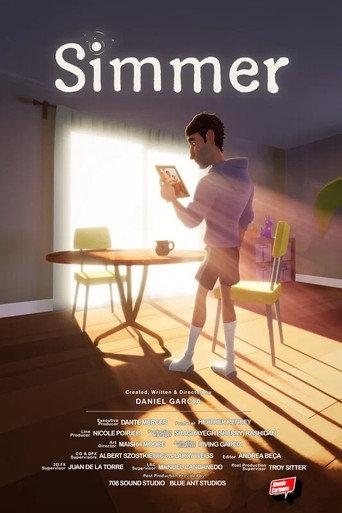 Simmer () poster