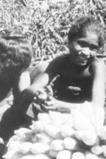 Bali - Flores Cultural Ethnological Film About the Lesser Sunda Islands (1926) poster