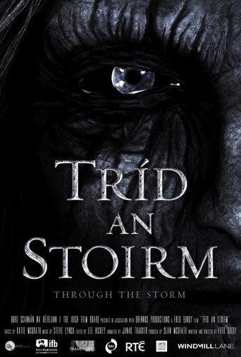 Through the Storm (2012) poster