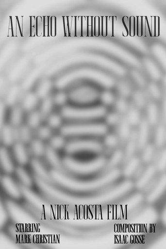An Echo Without Sound () poster