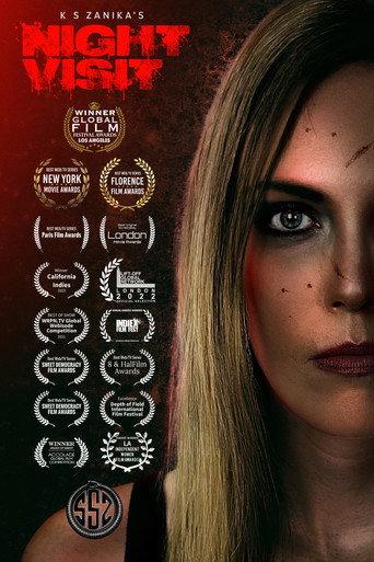 Night Visit () poster