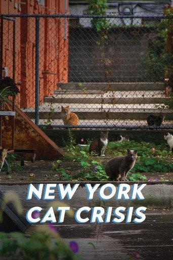 New York Cat Crisis () poster