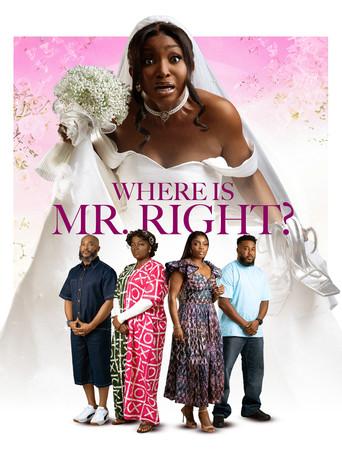 Where is Mr Right (2026) poster