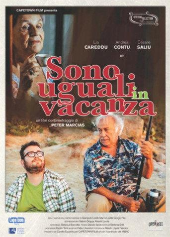 Sono uguali in vacanza (2014) poster
