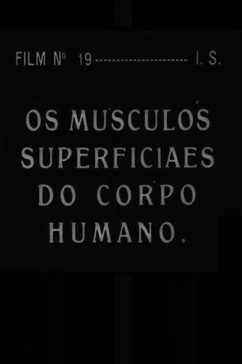 Os Músculos Superficiais do Corpo Humano (1936) poster