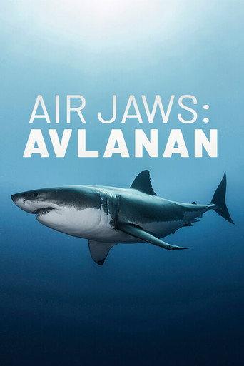 Air Jaws: The Hunted (2018) poster