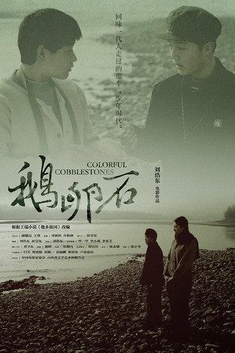 Colorful Cobblestones (2012) poster