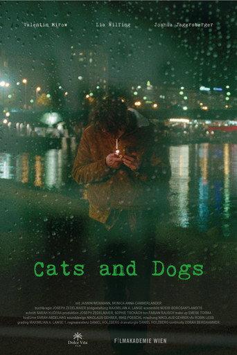Cats and Dogs (2024) poster