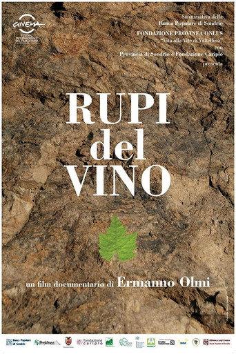 Wine Cliffs (2009) poster