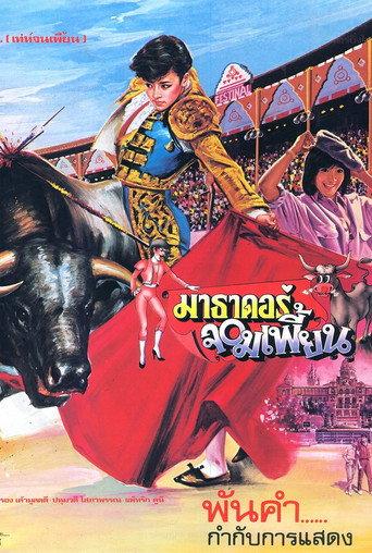 The Extraordinary Matador (1985) poster