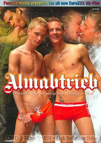 Almabtrieb (2010) poster