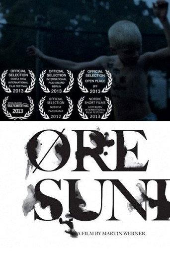 Øresund (2012) poster
