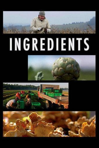 Ingredients (2009) poster