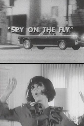 Spy on the Fly (1967) poster