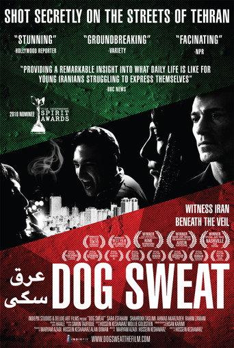 Dog Sweat (2011) poster