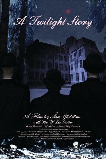 A Twilight Story (2006) poster