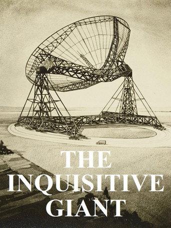 The Inquisitive Giant () poster