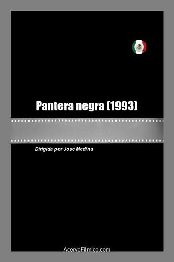 Pantera negra (1993) poster