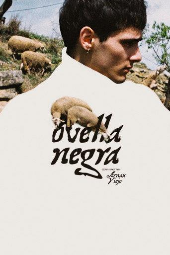 Black Sheep () poster
