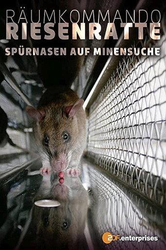 Räumkommando Riesenratte - Spürnasen auf Minensuche (2008) poster