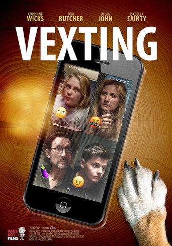 Vexting () poster