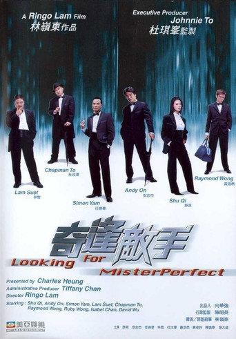 Looking for Mr. Perfect (2003) poster