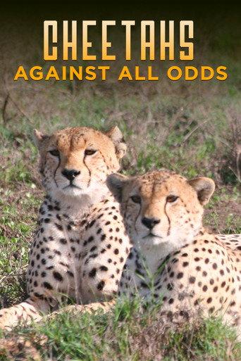 Cheetahs Against All Odds (2009) poster