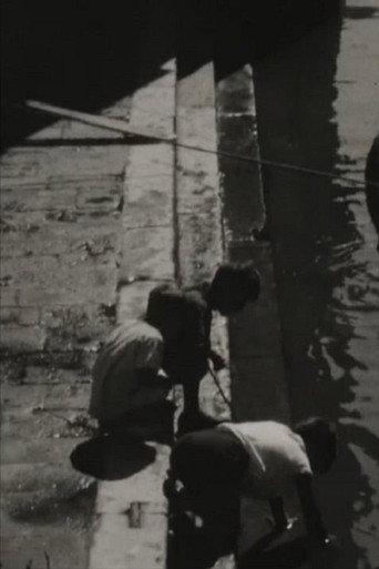 Venezia (1937) poster