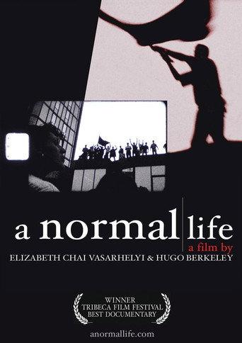 A Normal Life (2003) poster