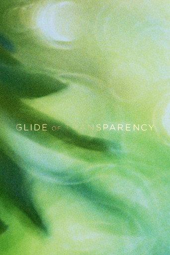 Glide of Transparency (2016) poster