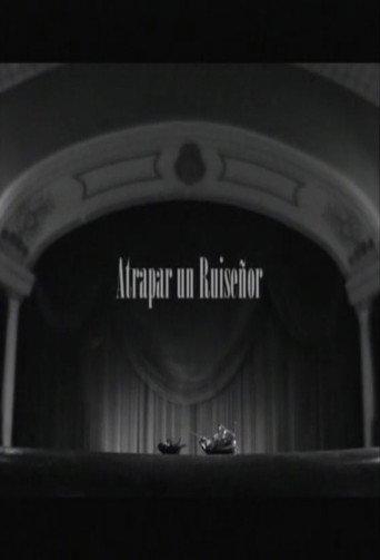 Atrapar un ruiseñor (2005) poster