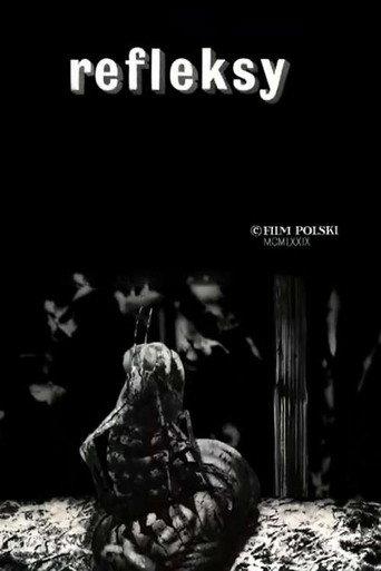 Reflections (1979) poster